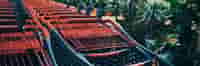 shopping carts in wholeseller