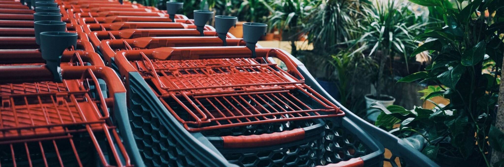 shopping carts in wholeseller