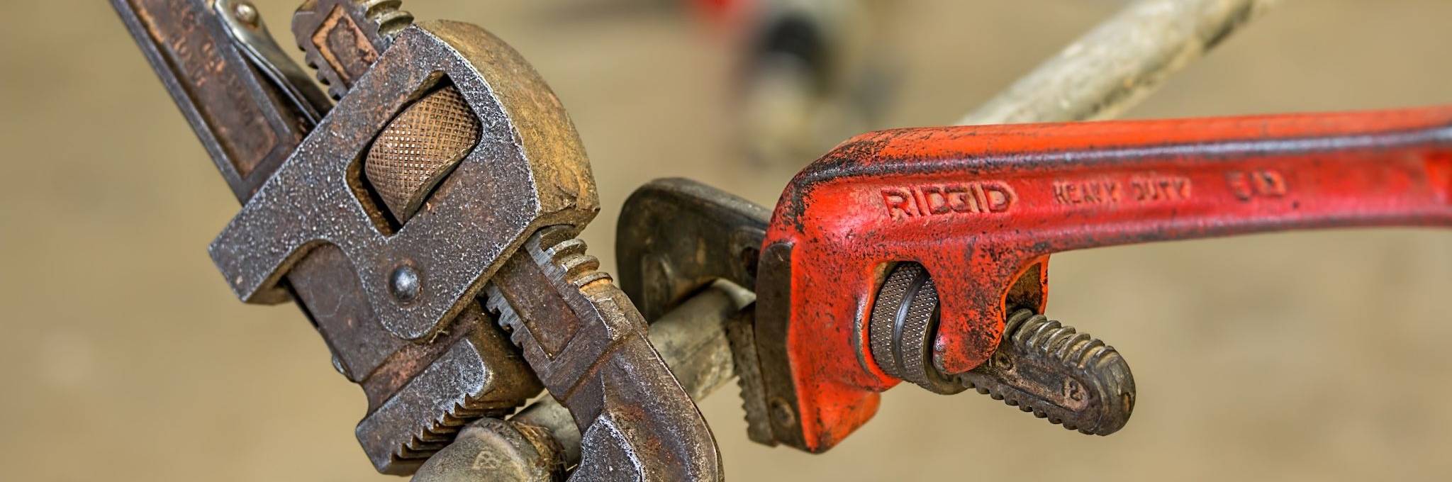 Electrical wires with wire caps