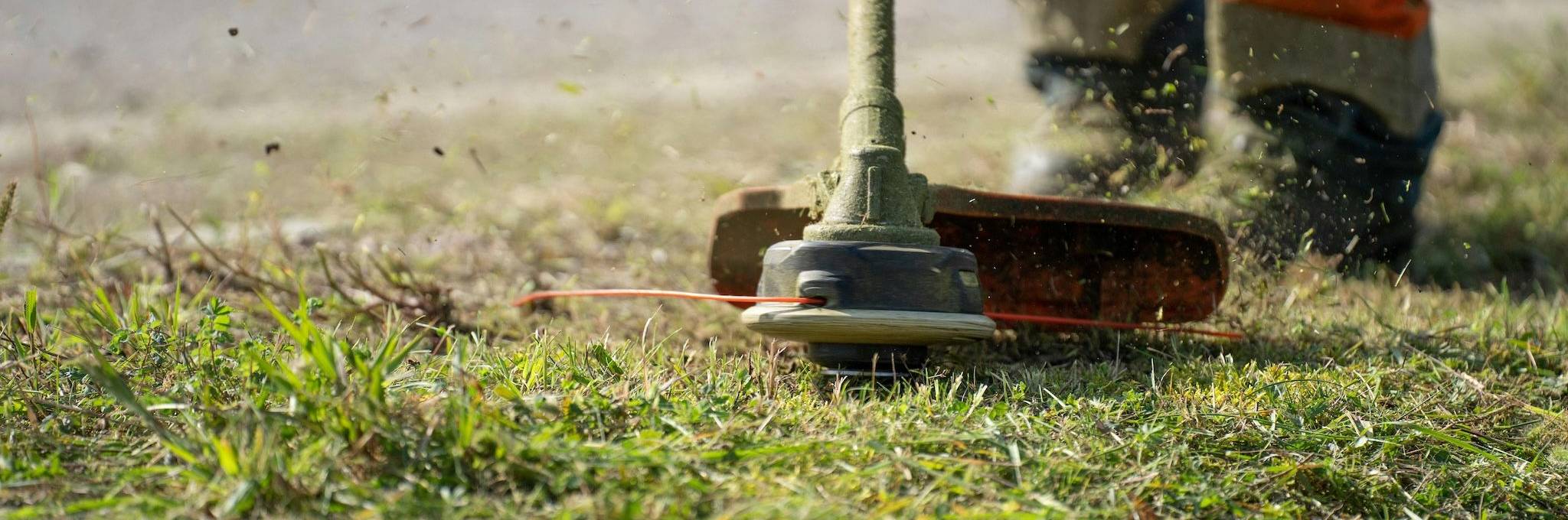 grass trimmer with trimmings